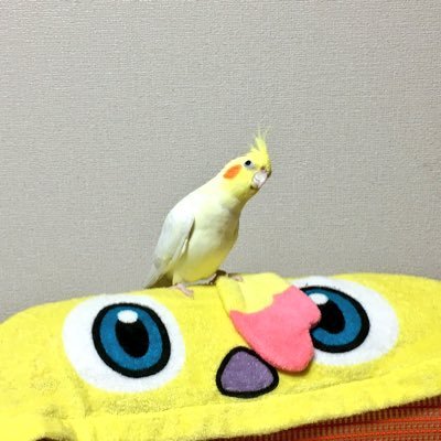 たっちゅ