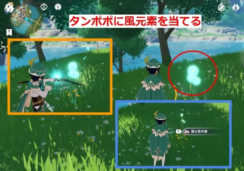 風元素で蒲公英を一本吹く