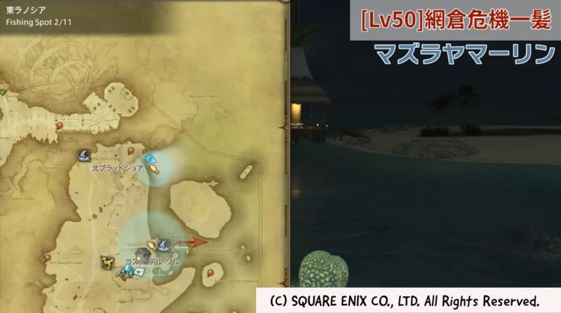 [Lv50]網倉危機一髪