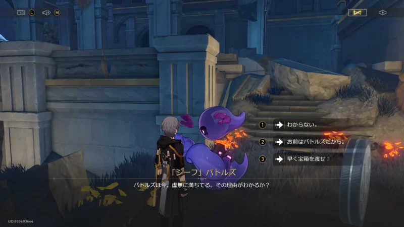 「竜骸の古都」スティコシア-宝箱10(シーフ)選択肢