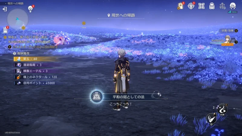 アチーブメント「平和の冠としての法」