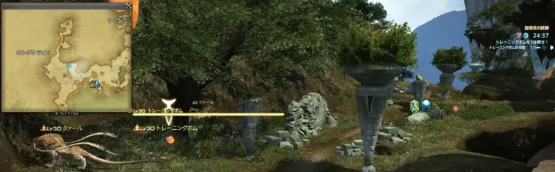 トレーニングボム