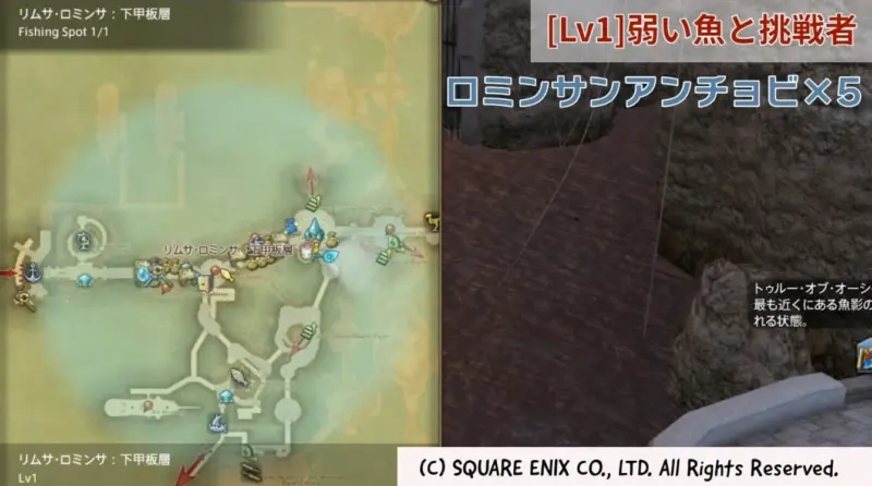 [Lv1]弱い魚と挑戦者