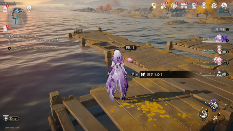 エンドモ「好奇蛍」