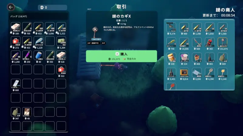 農場町「謎の商人」から謎の鍵×を購入する