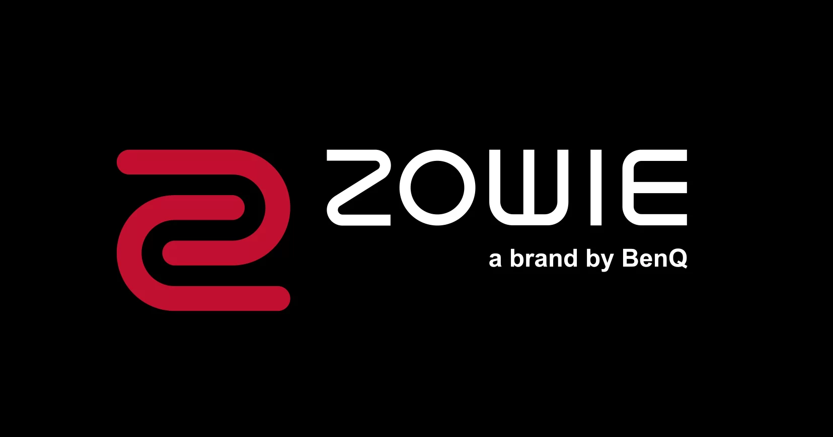 BenQ ZOWIE EC3-CW ワイヤレスゲーミングマウス