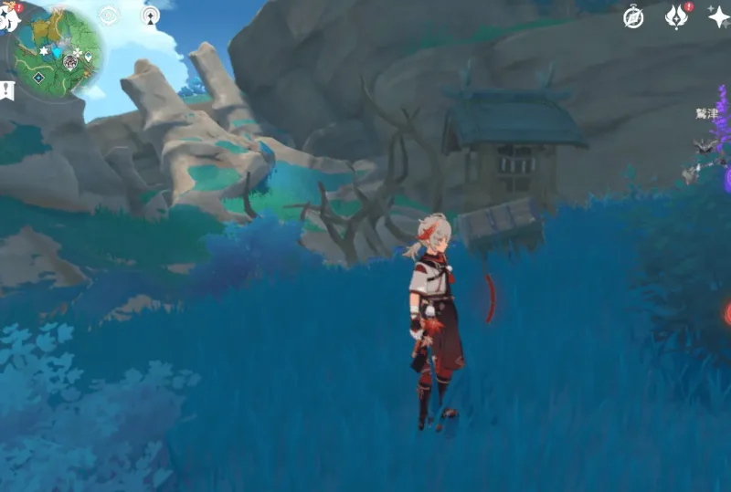 【原神】蛇神の首の祠【稲妻】