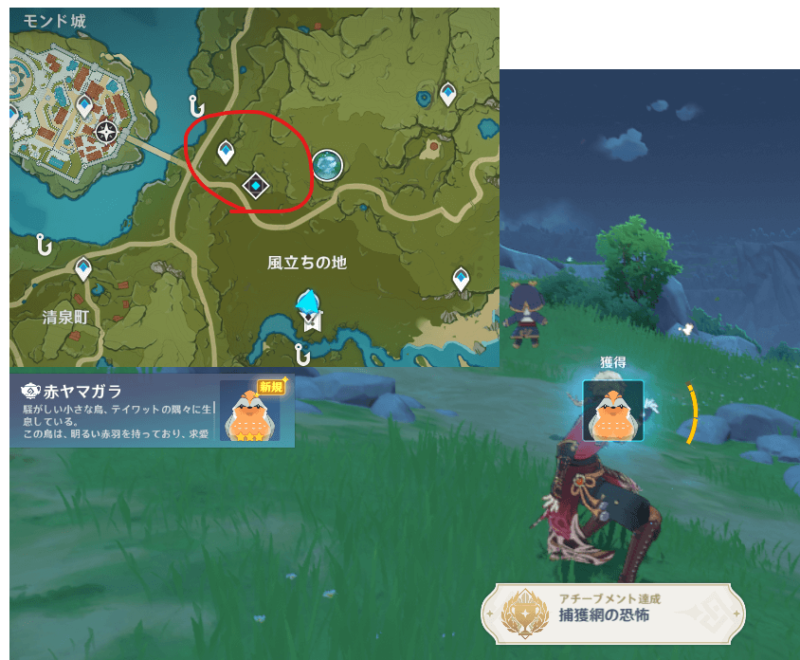 【原神】捕獲網の恐怖 実績 四方八方の網 