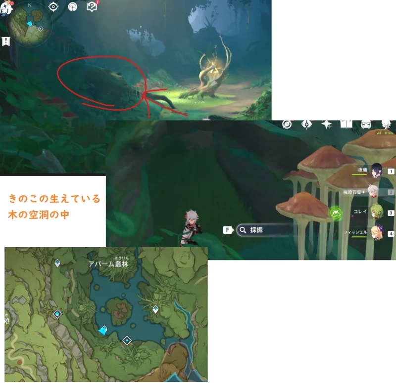 森林書 不思議なクリップボード 3 原神 げんしん 隠しアチーブメント 場所 位置 攻略