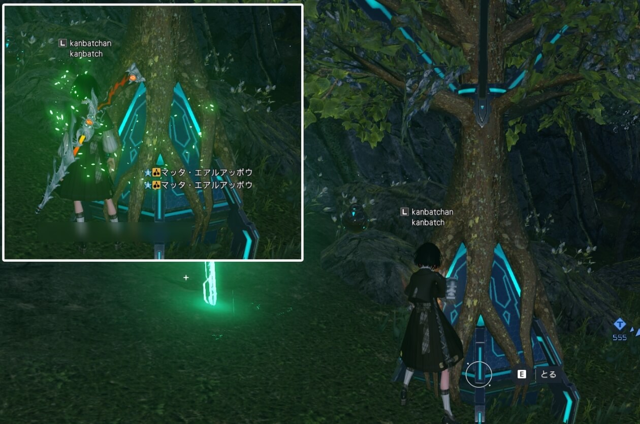 果実系の素材は木の根元に生えることも…